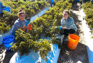 AmeriCorps Members Gleaning 2022-2023